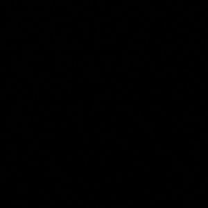 Meet your Posher, Lino